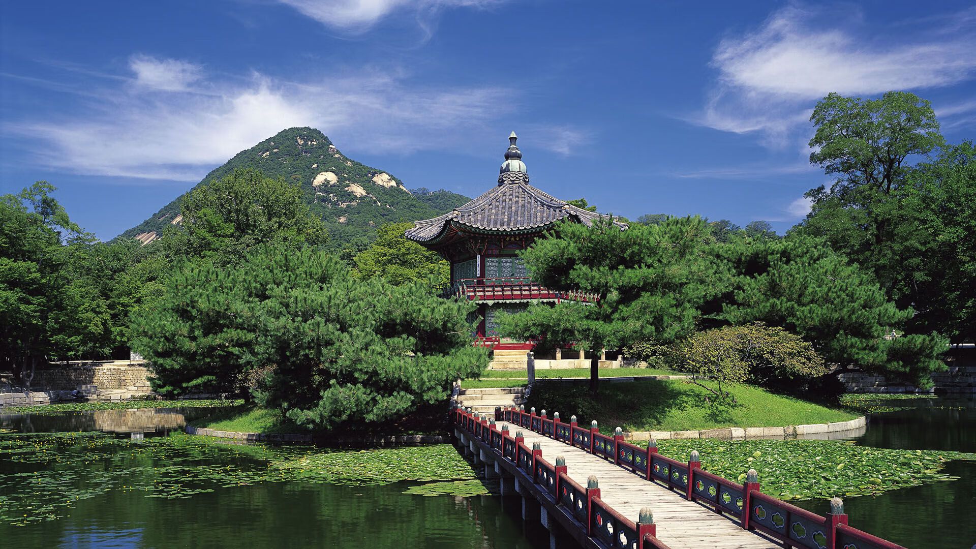 罗马2-0比闵迪奥，沙拉维和维纳托建功，罗马 维纳