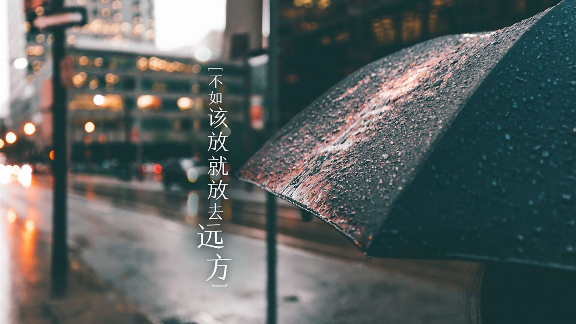 开云体育视频直播-赛场新星：阿尔伯特的崛起之路，阿尔伯特在哪