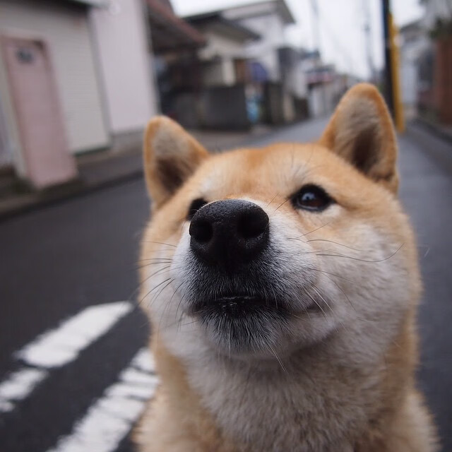 堡垒之夜创意模式作品获奖公布，堡垒之夜支持创作者