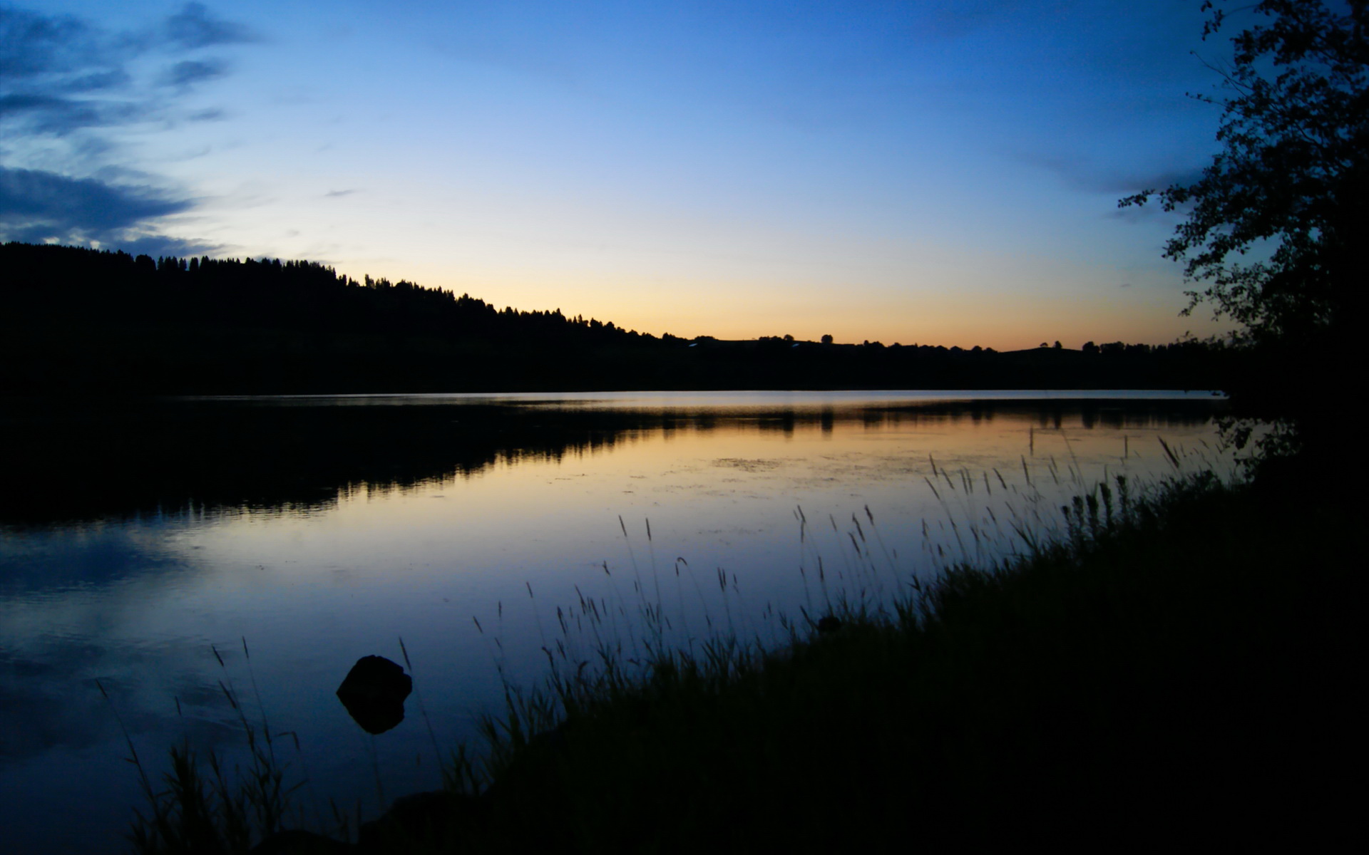 体育新闻中心启动区域体育媒体协同发展机制，体育媒体工作