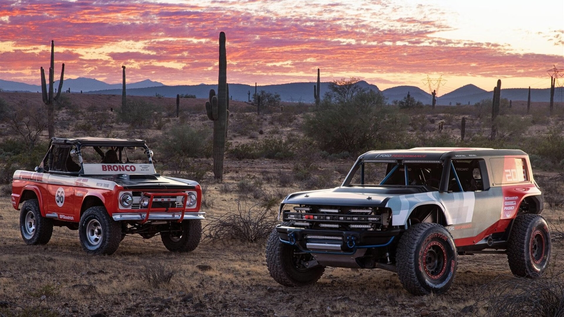 开云·体育官网APP下载-体育新闻中心推动体育赛事多平台内容同步发布，体育 新闻