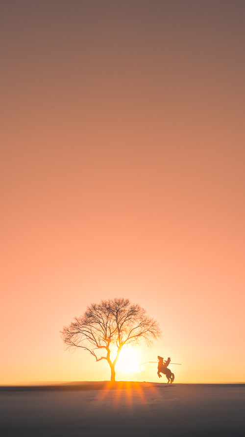 北京辽宁总决赛赛程公布广泛讨论备战方案，辽宁北京比赛