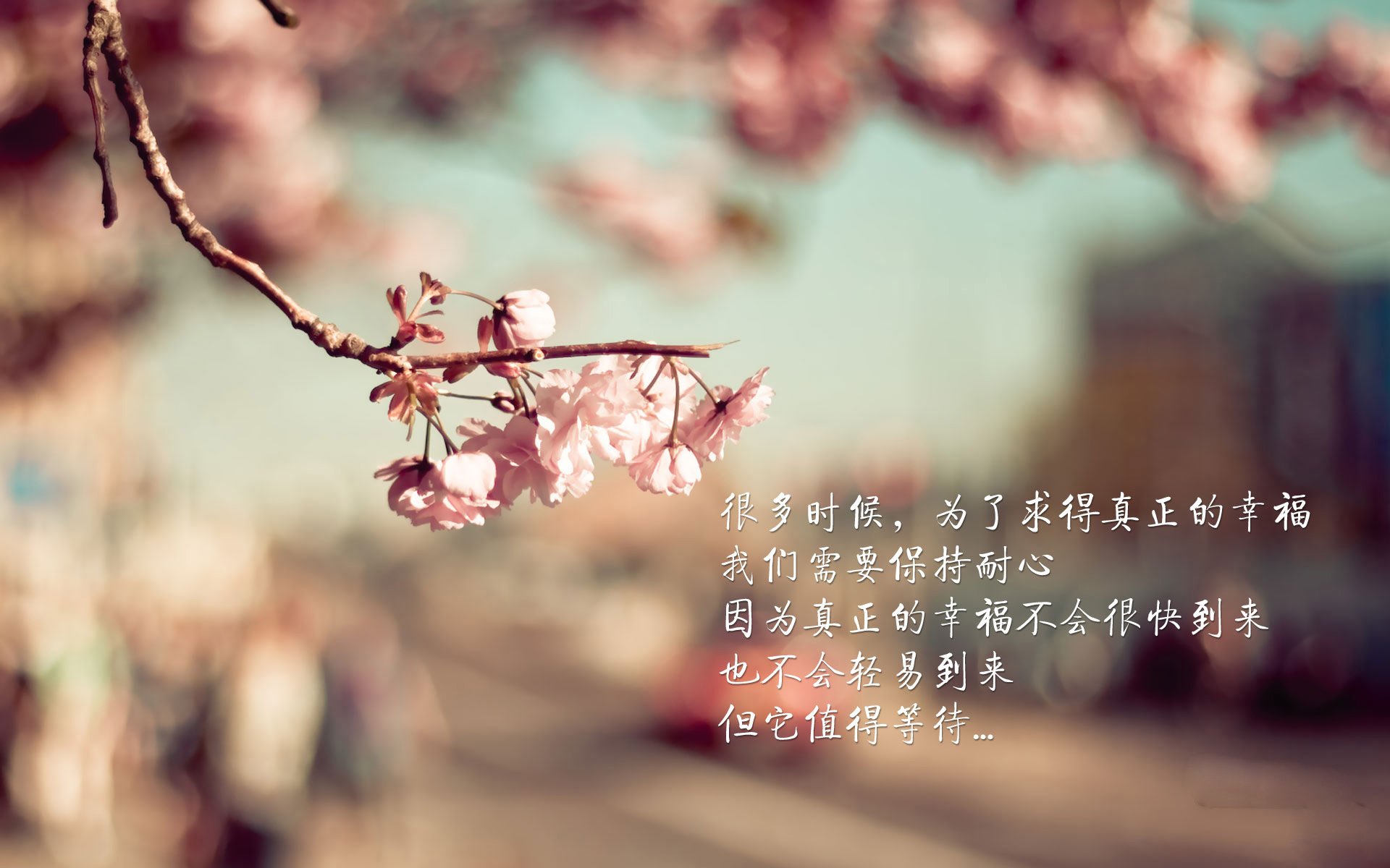 法甲少年崛起：新秀闪耀未来！