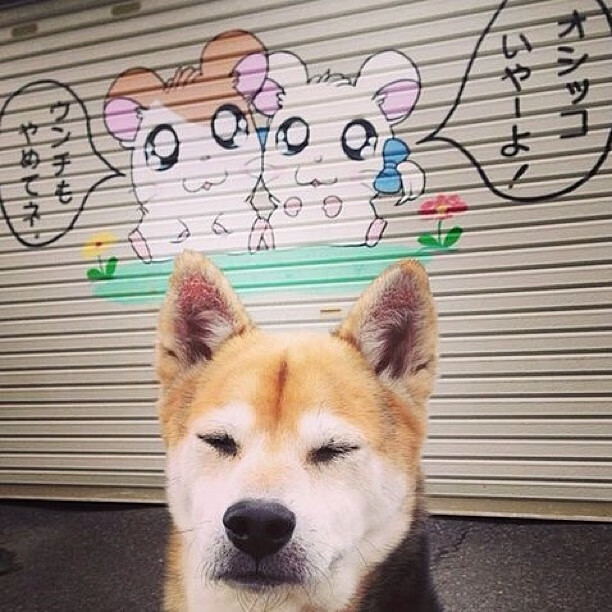 美洲杯激战正酣:精彩绝伦的攻防对决,z美洲杯