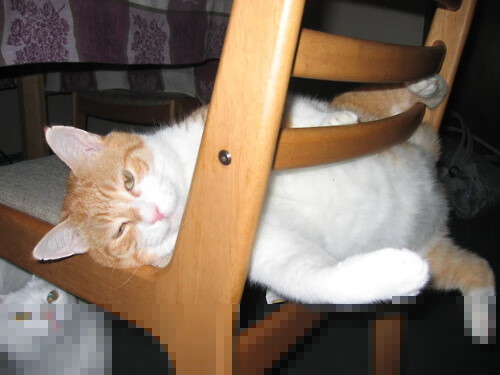 美洲杯追梦现场：英雄辈出，奇迹不断！，美洲杯讲解