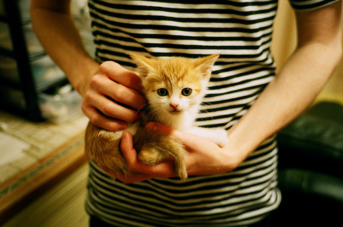 莱谢恩·卡萨斯稳扎稳打掌控比赛节奏，莱卡恩在哪