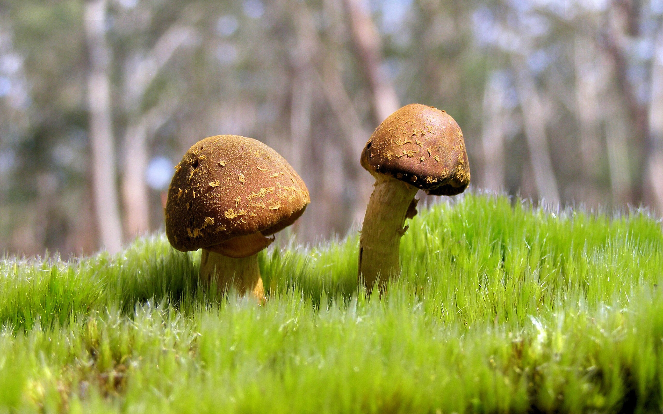 开云入口-足球亚洲杯中国队赛程公布，亚洲杯足球中国赛程表